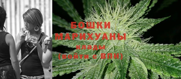 мдпв Щигры