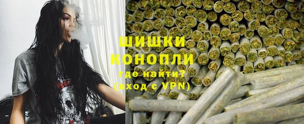 2c-b Горно-Алтайск