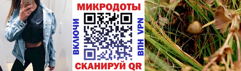 Галлюциногенные грибы Cubensis Еманжелинск